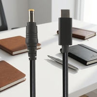 Câble de charge rapide Type-C vers Type-C en nylon blindé haute vitesse de 1 m, 5A, double interface, pour appareils iOS, certifié CE
