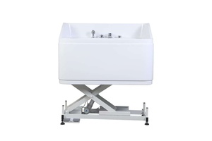 Venta al por mayor: Lavabo de spa extragrande con elevación controlada por pedal y a prueba de fugas para peluquerías pequeñas y medianas - Product Image 3