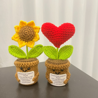 Pot de fleur créatif au crochet pour amour ornement tricoté décoratif de bureau pour l'obtention du diplôme ou Halloween pour les plantes en pot