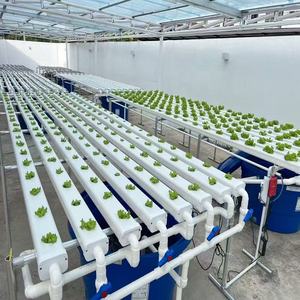 Equipo de Cultivo Hidropónico Vertical de Alta Productividad para Cultivo de Hongos en Interiores, Tubo NFT, PP de Grado Alimenticio, 5 Capas, Tamaño Personalizable - Product Image 2