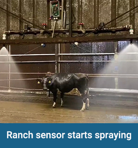 A longa distância RS485 do projeto 500cm do consumo da baixa potência <span class=keywords><strong>Output</strong></span> o <span class=keywords><strong>sensor</strong></span> ultrassônico para a proximidade do objeto e a detecção da presença - Product Image 6