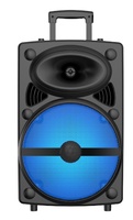 Altavoz de Karaoke NDR-12, Bafle Bluetooth, Haut-Parleur con Micrófono, Altavoz de Karaoke de 12 Pulgadas para Fiestas al Aire Libre con Micrófono y Bluetooth
