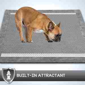 Bamboo Charcoal Urine Absorbent <b>Dog</b> PEE <b>Pad</b> Disposable Puppy Pet Training <b>Pads</b> - Product Image 2