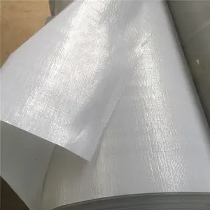 Tarpaulin For Printing China Manufacturer All Kinds Waterproof Heavy Duty Tarp Canvas PE Tarpaulin Roll/For Printing