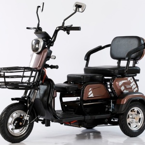 รถสามล้อไฟฟ้า 3 ล้อ ใช้งานได้หลากหลาย พร้อมมอเตอร์ 48V1000W สำหรับผู้โดยสารหลายคนและการส่งของ คุณภาพเยี่ยม - Product Image 1