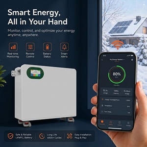 Batterie de stockage domestique LiFePO4 51,2 V 16,08 kWh 314 Ah murale pour énergie solaire avec certifications CE IEC62619 UN38.3 - Product Image 4