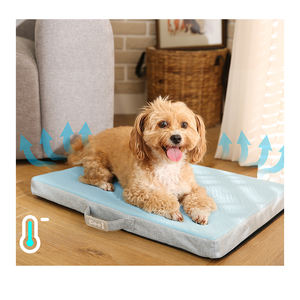 Neuankömmling Haustier Cooles Bett Sommer kühlung Touch Stoff <span class=keywords><strong>Cool</strong></span> Memory Sponge Travel Hunde bett Kissen Mit Griff - Product Image 1