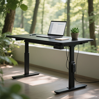 Bureau informatique ergonomique SAMDI moderne en acier inoxydable à moteur unique, réglable en hauteur pour position assise-debout