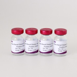 전염성 Bursal 질병 (IBD) <span class=keywords><strong>AGP</strong></span> 양성 혈청-한천 젤 면역 확산 검사용, 높은 항체 역가, OIE 표준 - Product Image 2