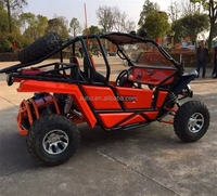 Dune Buggy promotionnel 2 places bon marché Go Kart à essence 200cc pour adultes de fabrication professionnelle
