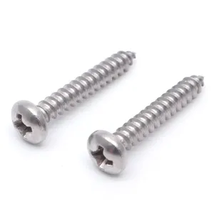 2# 3# 4# 6# 8# 10# ANSI/ASME 304 SS Round Pan Head Phillips Self Tapping Screw Stainless Steel For Ship Yacht