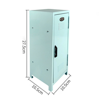 Boîte de rangement cosmétique portable mignonne et féminine en métal, mini armoire de rangement de bureau pour la maison, la chambre ou le bureau
