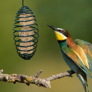 Vườn Kim loại chim trung chuyển ngoài trời treo lưới mỡ mỡ suet bóng trung chuyển di động hình bầu dục mùa xuân chim hoang dã sắt trung chuyển - Product Image 6