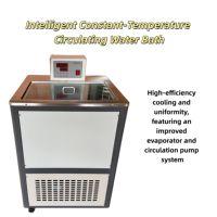 Bain-marie numérique en acier inoxydable avec thermostat, bain-marie à circulation réfrigérée pour équipement d'asphalte en laboratoire