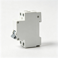 Disjoncteur miniature 1P 10A Courbe B 230V 6kA Monophasé sur rail DIN pour circuit d'éclairage