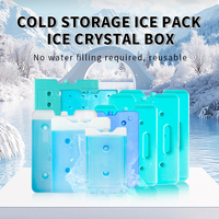 Glacière 200g épaissie scellée réutilisable pour congeler l'outil essentiel durable pour refroidir les boissons pendant les pique-niques de camping