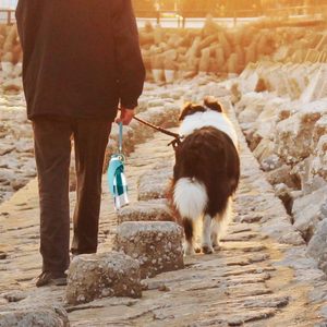 Bouteille pour chien personnalisée en acier inoxydable, capacité de 20 oz, sublimation, utilisation directe, camping, gobelet portable pour animaux de compagnie, distributeur en silicone - Product Image 4