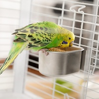 Mangeoires pour animaux de compagnie en acier inoxydable de qualité supérieure Plateau pour oiseaux perroquets Station d'alimentation pour oiseaux avec plateau à vaisselle