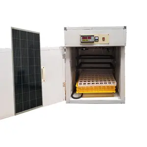Incubateur automatique entièrement intelligent, régulateur de température 176, coupeuse d'œufs solaire à vendre