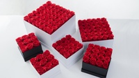 Roses éternelles préservées pour Noël, la fête des mères, cadeau réel dans une boîte, rose immortelle pour la Saint-Valentin, anniversaire