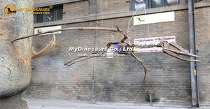 Modelo de Esqueleto de Pterosaurio Prehistórico MY DINO DS-147, Fósil de Dinosaurio Educativo - Product Image 4
