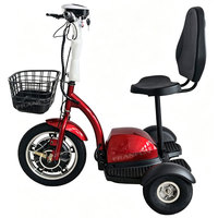 Tricycle électrique économique à 3 roues avec capacité de charge de 100 kg pour les déplacements personnels, moteur avant de 350 W, scooter électrique Zappy