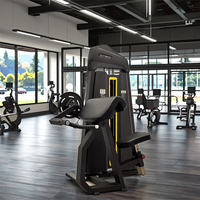 Máquina Profesional de Curl de Bíceps con Peso de Acero, Equipo de Gimnasio Comercial para Entrenamiento de Músculos de Brazo, Máquina de Fitness de Alta Calidad para Curl Sentado