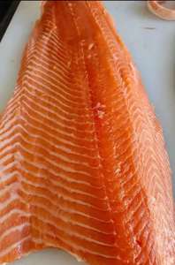 Línea de producción de línea de procesamiento de pescado de salmón Máquina cónica para matar salmón - Product Image 2