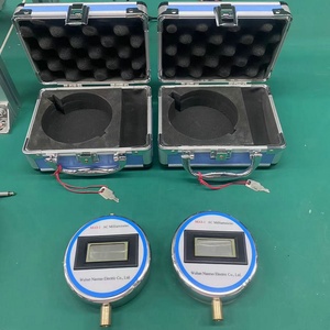 มิลลิแอมมิเตอร์แบบปรับแต่งได้ รุ่น BIBO 8 มม. ความละเอียด 0.1 0.01mA สำหรับทดสอบกระแสไฟรั่ว - Product Image 4