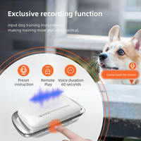 Collier de dressage pour chien à distance sans choc, rechargeable, étanche, avec 3 modes de dressage et lumière de sécurité LED