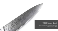 Premium 8 inch koksmes, 67-laags Japans Damascus staal, milieuvriendelijk, ambidextrous, hoogglans afwerking, koksmessen voor de keuken, G10