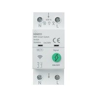 Protecteur intelligent WiFi KINEE VA pour maison connectée, interrupteur intelligent réglable 2P 1-63A, AC 220/110V, protection sur rail DIN avec surveillance de l'énergie