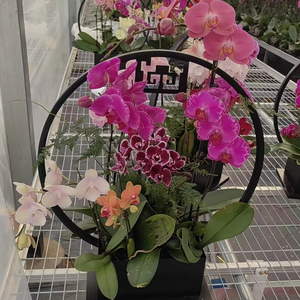 Tables <span class=keywords><strong>de</strong></span> bancs <span class=keywords><strong>de</strong></span> serre roulantes durables pour <span class=keywords><strong>lit</strong></span> <span class=keywords><strong>de</strong></span> pépinière avec couvercle en alliage d'aluminium et maille à armure toile pour l'ensemencement - Product Image 3