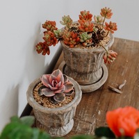 Pot tanaman keramik dekorasi taman rumah pedesaan vintage desain baru pot terakota luar ruangan kustom untuk bunga