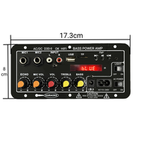 D30-II Mono 25W untuk Papan Amplifier 5.0 dengan Kontrol Jarak Jauh Dual MIC untuk Aplikasi Mobil DC12V/24V