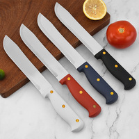 Hete Verkoop Kwaliteit Plastic Kleurrijk Handvat Rvs Fruit Steak Mes