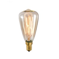 Ampoule halogène industrielle vintage 25W 40W 60W Edison ST48 110 V 220V Lumières Globes Ampoules à incandescence vintage