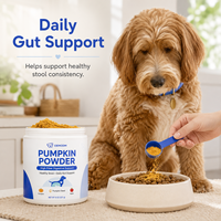 Poudre de citrouille à marque privée pour chiens, riche en fibres, pour la santé digestive et le soutien des selles, complément alimentaire pour animaux de compagnie, formule personnalisée OEM ODM