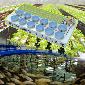 Sistema Aquaponia Cowater Hidroponia de Piscicultura interior Sistema Aquaponia Alface e Tilápia Sistema Aquaponia Vegetais - Product Image 5