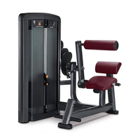 Haute qualité vente chaude musculation équipement de force machine commerciale équipement de fitness de gymnastique extension de dos