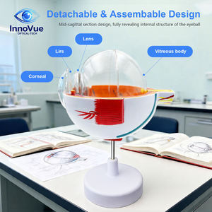 Modèle d'anatomie de l'œil artificiel InnoVue IE-02 - Équipement pédagogique d'optométrie pour opticiens et enseignants en sciences de la vue - Product Image 3