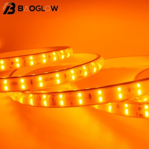 High Brightness 12mm 120LED RGB White Led <b>Strip</b> Light IP67 Remote Control Flexible 20CM Cut Board SMD2835 DC220V Led <b>Strip</b> Light - Product Image 4