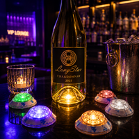 Longstargift – Éclairage LED pour bouteilles en ABS, personnalisable, haute luminosité, pour campagnes de boissons et affichage hôtelier