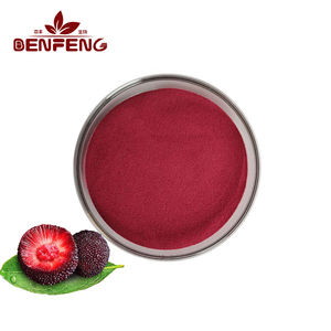 مسحوق التوت البري الطبيعي النقي، مسحوق عصير اليومبيري، مسحوق فاكهة التوت البري بدرجة غذائية - Product Image 1