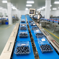 Balance combinée automatique Rehoo, peseuse multi-têtes pour l'emballage de cornichons, de kimchi et d'aliments humides