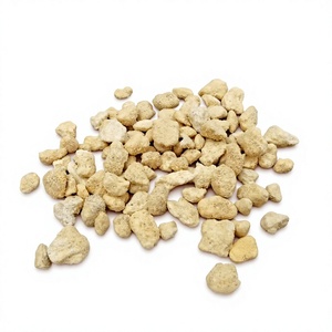 Piedras de siembra importadas para orquídeas y suculentas, mezcla de suelo de absorción media para recubrimiento superior - Product Image 2