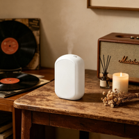 Diffuseur d'huiles essentielles sans eau professionnel à piles, diffuseur de parfum d'ambiance pour la maison et le bureau