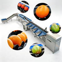 Machine automatique de tri et de calibrage des fruits et légumes pour pommes de terre, oignons, avocats 220V/380V Haute efficacité