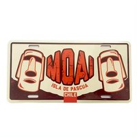 Plaques d'immatriculation de voiture en aluminium rétro vintage personnalisées en gros au prix d'usine, embossées, 6"x12"