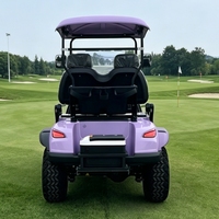 Carrito de Golf de Lujo para 2 Pasajeros con Batería de Litio, Homologado para Calle, con Certificación CE DOT y Refrigerador para Golf y Recorridos Turísticos